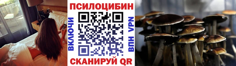 мега ссылка  Павлово  Галлюциногенные грибы Magic Shrooms 